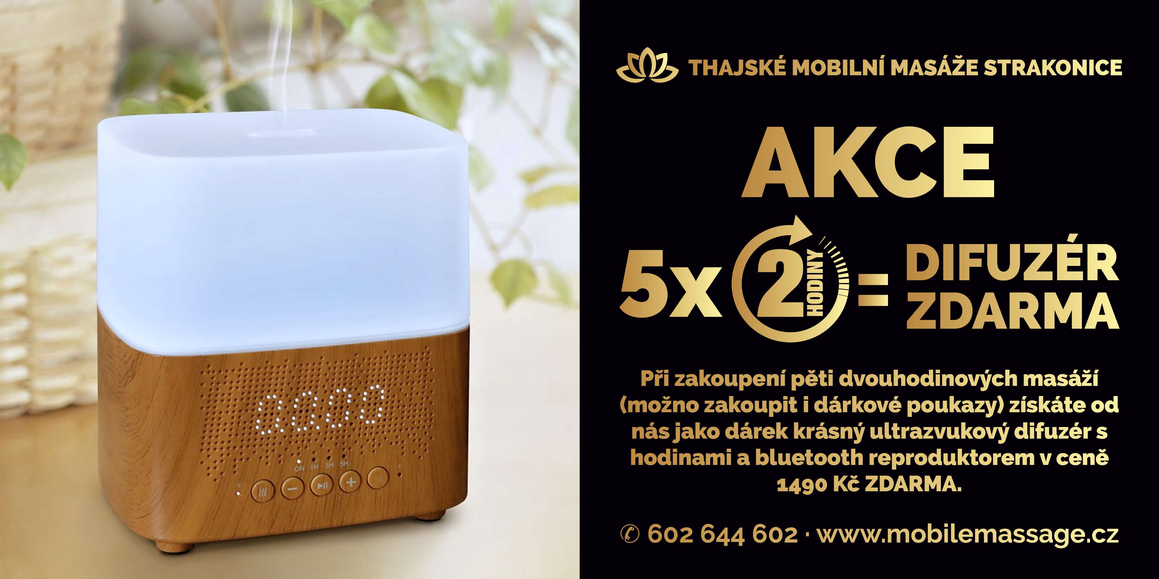 Thajské mobilní masáže Strakonice